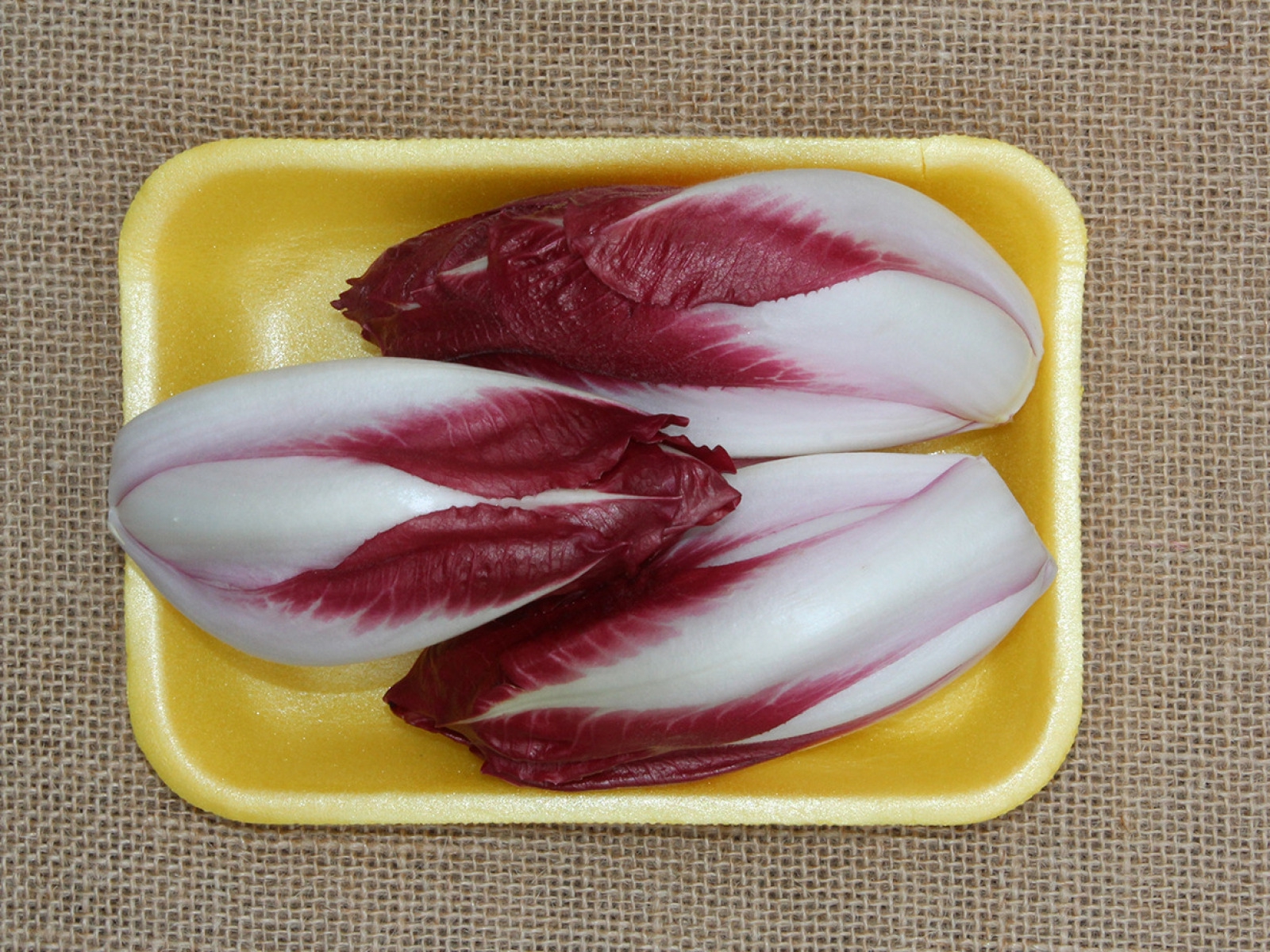 red-chicory-tray-gal3-863419.jpg