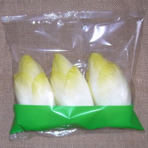 white-chicory-flowpack713057.jpg